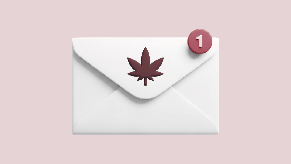 Cannabis Newsletter